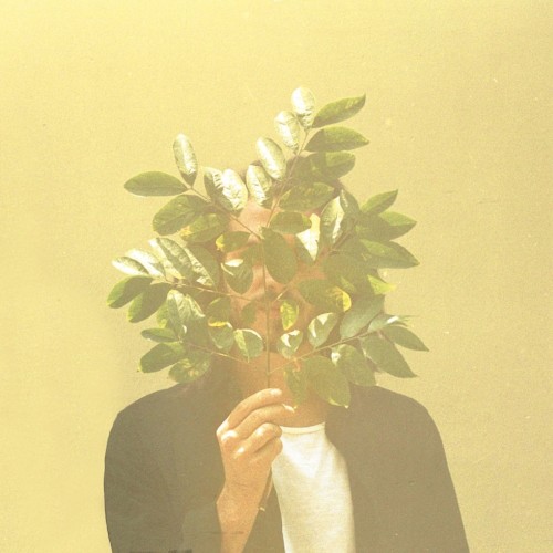 Pochette de French Kiwi Juice par FKJ