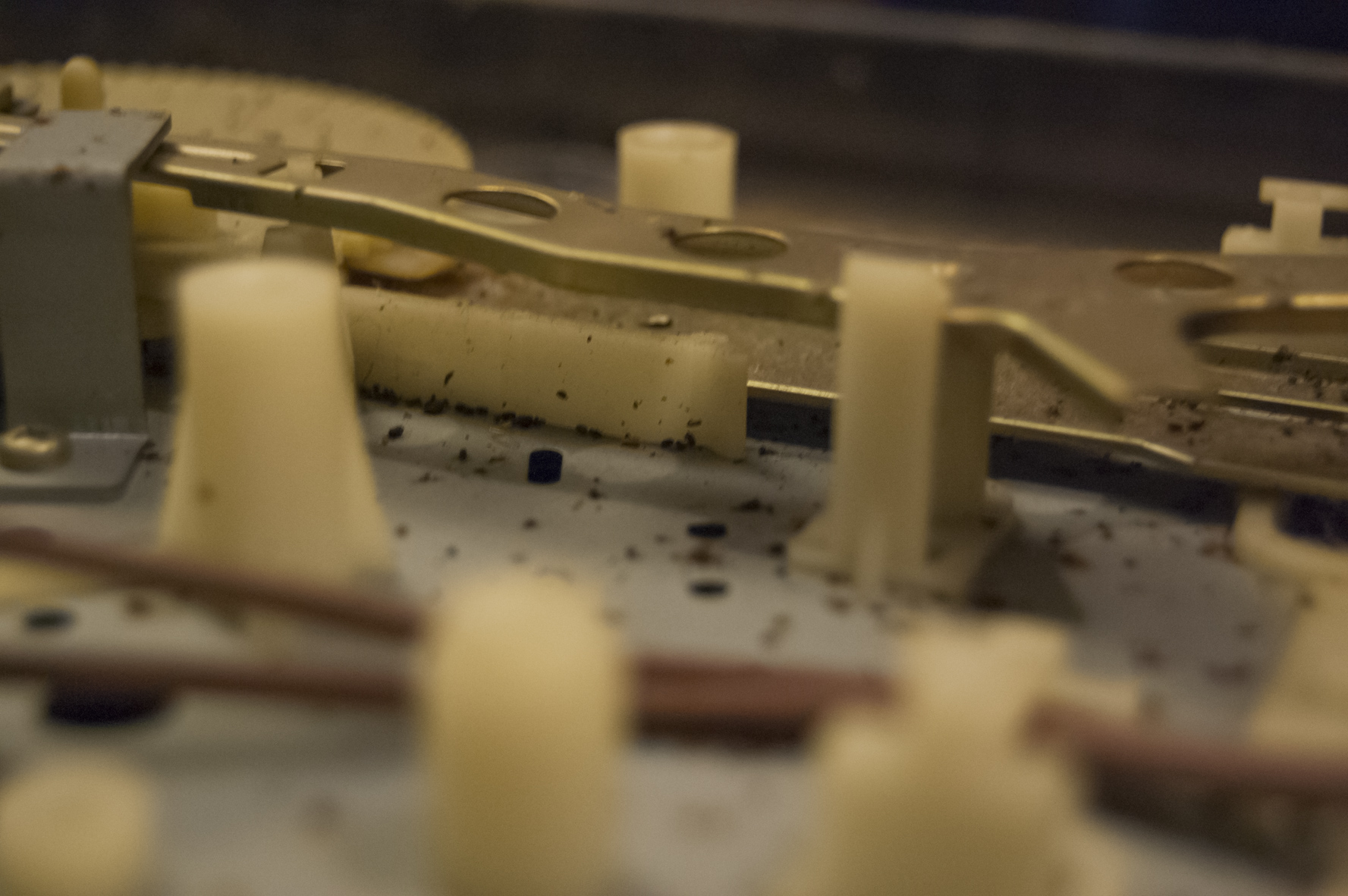 Vue du plateau et des composants infestés