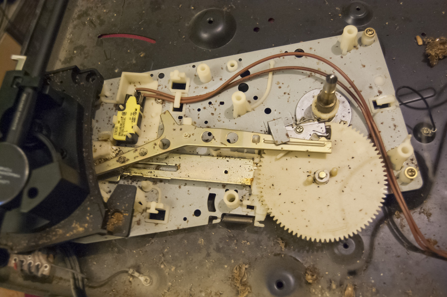 Derniers recoins inspectés