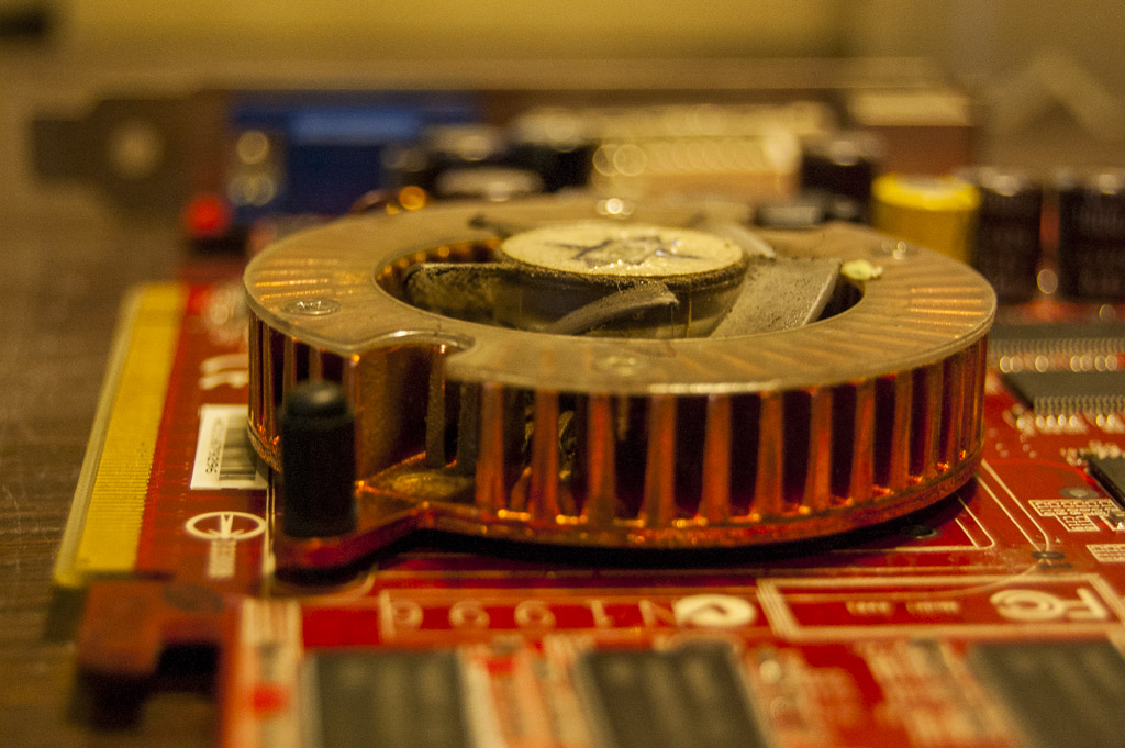 Détail des dégâts