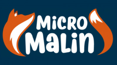 Logo Micro Malin - renard